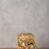 Cow and Calf