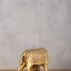Cow and Calf